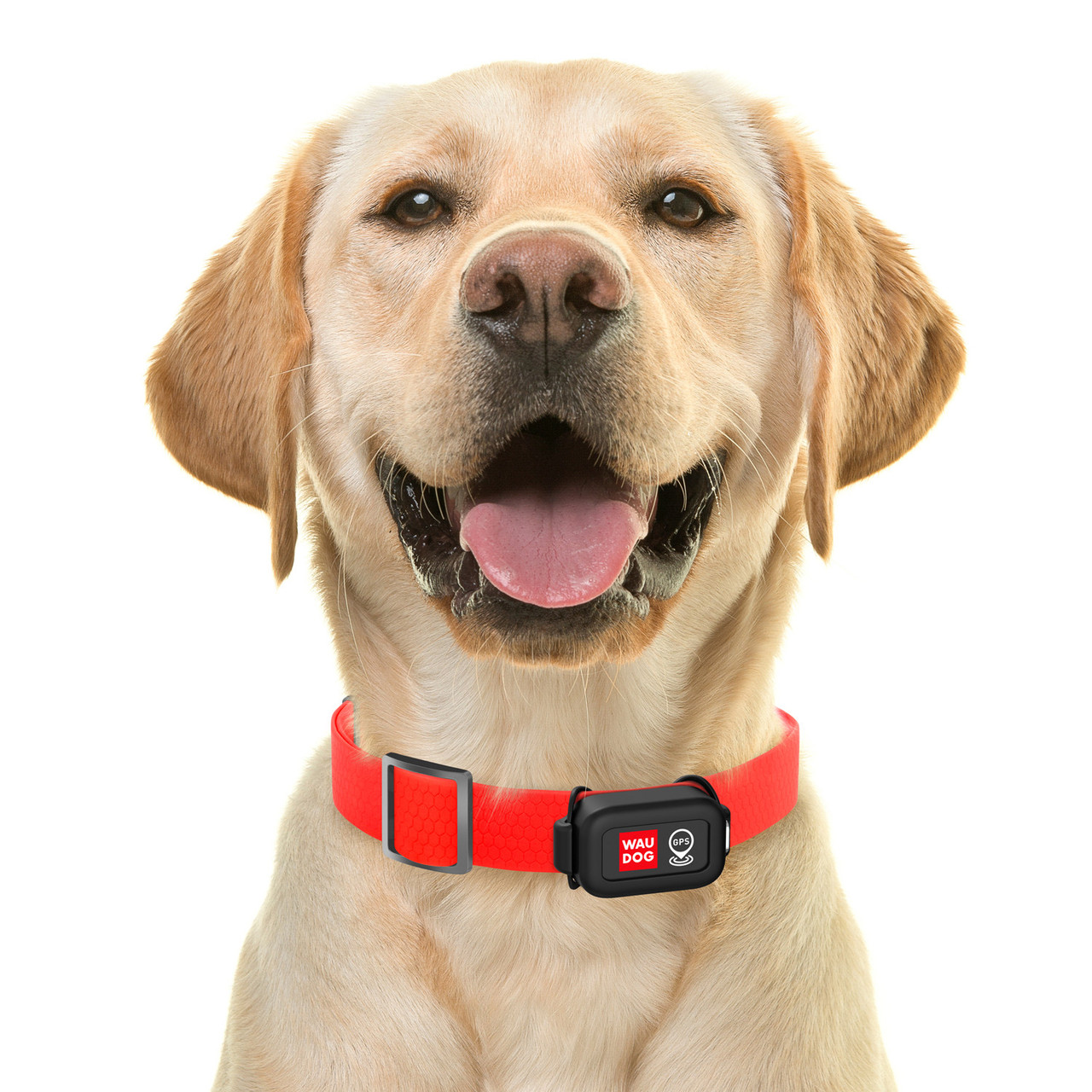 GPS трекер для пошуку собак