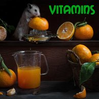 Вітаміни для гризунів