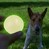 Игрушка для собак светоотражающий мяч BRONZEDOG SKIPDAWG GLOW BALL