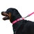 Ошейник для собак светоотражающий розовый ACTIVE BRONZEDOG