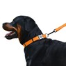 Ошейник для собак светоотражающий оранжевый ACTIVE BRONZEDOG