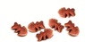 Лакомство для собак скумбрия и малина Carnilove Dog Crunchy Mackerel with Raspberries