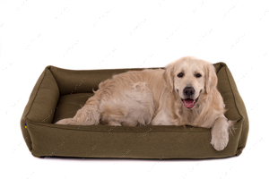 Лежак для собаки Sofa Olive, оливковый