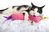 Игрушка для кошек единорог с привлекающим запахом серебрянная лоза + кошачья мята)Hartz Cattraction with Silver Vine & Catnip Magic Unicorn Kicker Cat Toy