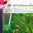 Скребок с ручкой для очистки стекла аквариума Blanki Set JBL