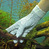Перчатка для чистки аквариума ProScape Cleaning Glove JBL