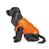 Жилет для собак оранжевый Pet Fashion SPRING