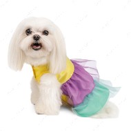 Платье Pet Fashion Лира для собак