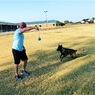 Игрушка для собак USA-K9 CHERRY BOMB DURABLE RUBBER CHEW TOY, TREAT DISPENSER, REWARD TOY, TUG TOY, AND RETRIEVING TOY - BLUE