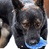 Игрушка для собак граната USA-K9 GRENADE DURABLE RUBBER CHEW TOY & TREAT DISPENSER - BLUE