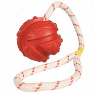 Игрушка для собак мяч на канате Ball on a Rope