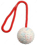 Мяч апортировочный для собак Ball on a Rope