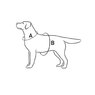 Шлея для мелких и средних пород собак COLLAR