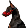 Намордник для собак рисунок шотландка красная WAUDOG Nylon