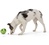 Игрушка для собак мяч с тайником для лакомств зеленая Rumbl Eggplant