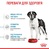 Сухий корм для цуценят юніорів гігантських порід собак від 8 до 18-24 місяців Royal Canin Giant junior