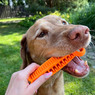 Іграшка для собак FIBOO Fiboone dental, помаранчева