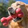 Іграшка-кісточка для собак KONG CLASSIC Goodie Bone red