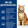 Ветеринарна дієта для кішок підтримка здоров'я сечовивідних шляхів з куркою Hill's Wet PD Feline C/D Chicken