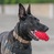 Игрушка для собак граната USA-K9 GRENADE DURABLE RUBBER CHEW TOY & TREAT DISPENSER - RED