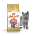 Сухий корм для кошенят породи Британська короткошерста з 4 до 12 місяців Royal Canin Kitten British Shorthair