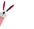 Іграшка для собак кролик із хрусткою трансформованою шиєю і пищалкою GIGWI CRUNCHY NECK