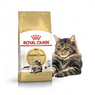 Сухий корм для дорослих котів породи мейнкун Royal Canin Breed Maincoon adult