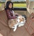 Накидка на заднє сидіння автомобіля для собак Kurgo Heather Hammock