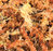 Наполнитель-мох сфагнум для террариума Sphagnum Moss