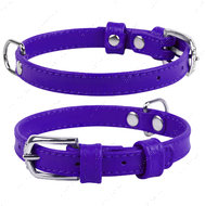 Ошейник для собак без украшений фиолетовый GLAMOUR WAUDOG