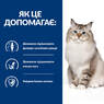 Лікувальний корм для котів для боротьби з артритами та остеоартритами PD Feline J/D