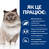 Лікувальний корм для котів при ожирінні або надмірній вазі Hill's Prescription Diet Feline r/d