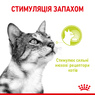 Консерви для котів стимулюючий нюхові рецептори шматочки в соусі Royal Canin Sensory Smell
