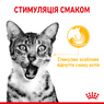 Повнораціонний вологий корм для дорослих котів, що стимулює особливе сприйняття смаку шматочки в соусі Royal Canin Sensory Taste