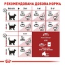 Сухий корм для котів віком від 1 до 10 років Royal Canin FIT