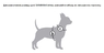 Шлея для собак з QR-паспортом, з малюнком NASA21, пластиковий фастекс WAUDOG Nylon