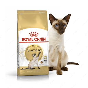 Сухий корм для котів породи Сіамські Royal Canin Breed Siamese adult