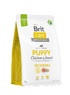 Сухий корм для цуценят, курка та комахи Brit Care Dog Sustainable Puppy