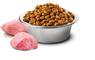 Низькозерновий сухий корм для цуценят дрібних порід з куркою та гранатом Farmina N&D Chicken & Pomegranate Puppy Mini