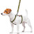 Шлея для собак анатомічна H-образна з QR-паспортом, малюнок Мілітарі, пластиковий фастекс WAUDOG Nylon