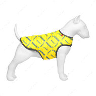 Куртка-накидка для собак, малюнок Сміливість WAUDOG Clothes