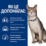 Ветеринарна дієта для кішок при захворюванні нирок з лососем Hill's Wet PD Feline K/D Salmon