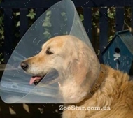 Ветеринарный пластиковый воротник для собак и кошек