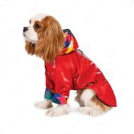Ветровка для собак красная Pet Fashion AIR