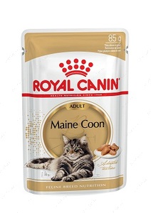 Консерви для котів породи мейн-кун Mainecoon adult