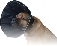 Ветеринарный воротник нейлоновый для собак плотный Dog Extremе
