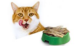 Лакомства для кошек – это продукты, разработанные специально для ваших усатых друзей, необходимые для тренировок и обучения питомцев.