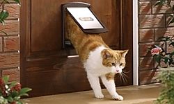 Дверца для кошки – это аксессуар, который устанавливается в межкомнатные или входные двери, в стены и перегородки. 