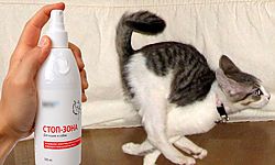 Антигадин для кошек – это средство, позволяющее отучить питомца пакостить в неположенном месте. Довольно часто свои «метки» животные ставят на мебели или в углу комнаты.
