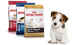 Компания Royal Canin придает особое значение внимательному отношению к нуждам домашних питомцев. Корм для животных Royal Canin